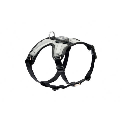 RC PET Dog Nova LED Light Harness, Black/Grey, M, 20" - 28" - Poudre Pet and Feed Supply